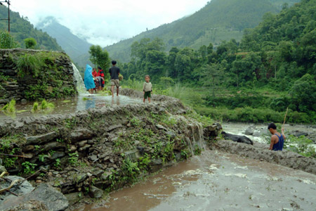 DSCF0085-1 Nepal, Reisanbau